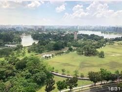 Ivory Heights (D22), Condominium #169105852